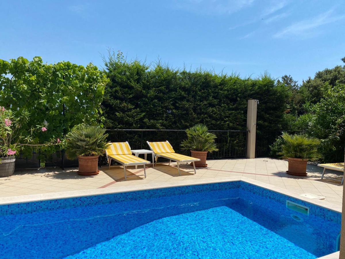 טיווט Apartments Villa Viktoria מראה חיצוני תמונה